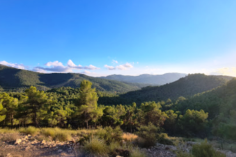 Gårdshus i Biar, Alicante, Biar - € 299 000 | Ref: FCA.02BIAR - foto 25